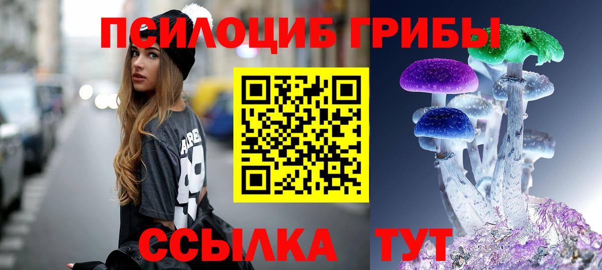 Кореновск  Галлюциногенные грибы мицелий  Вход с VPN 